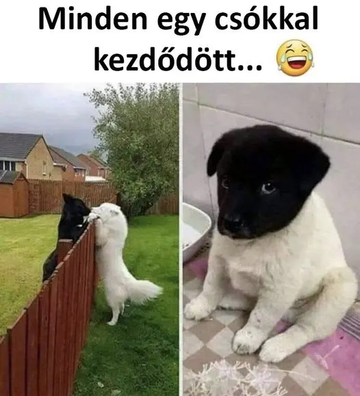 😍😂