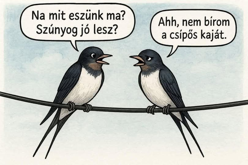 🤣