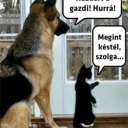 Jaj 😂