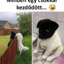 😍😂