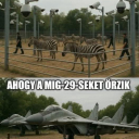🤣