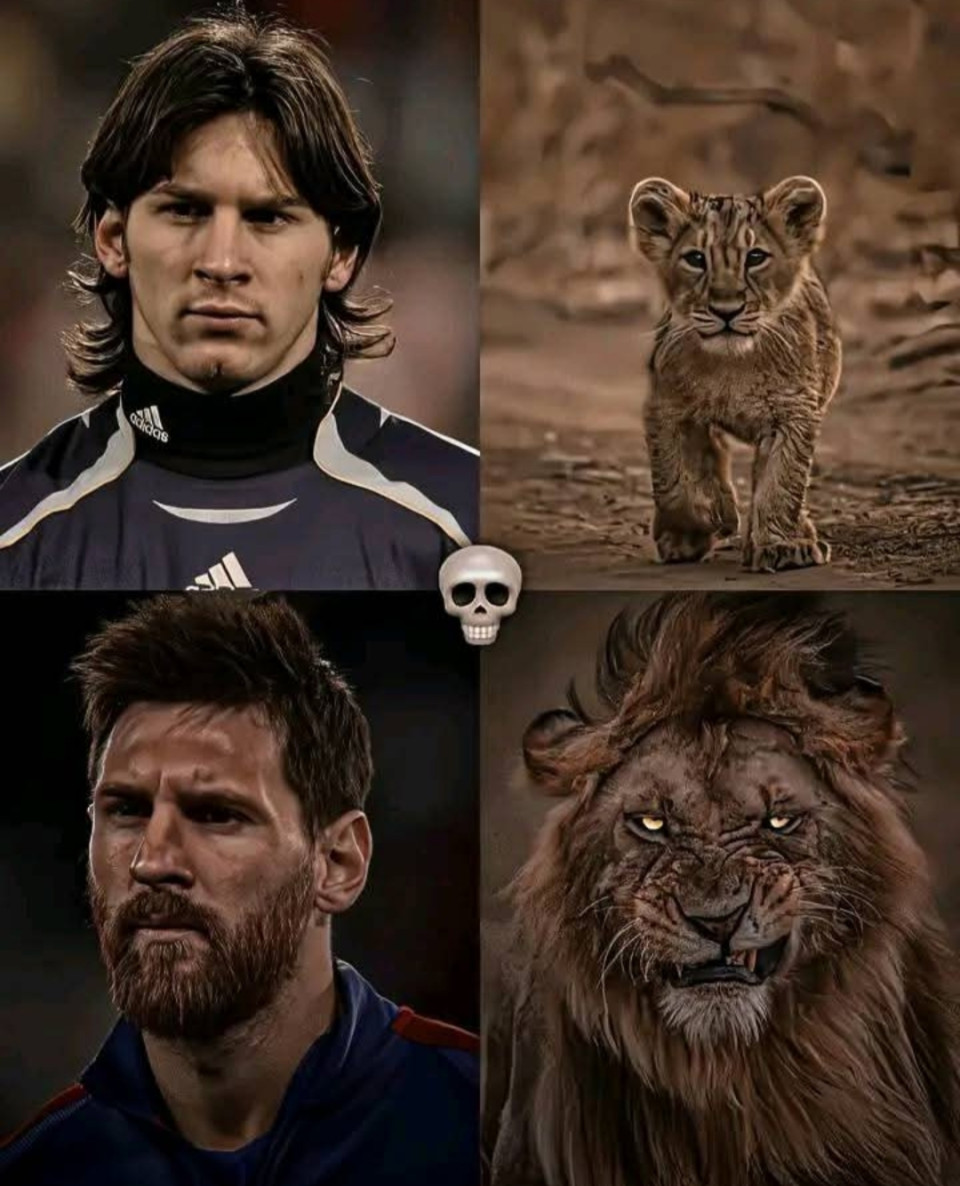 Lionel King 🦁👑