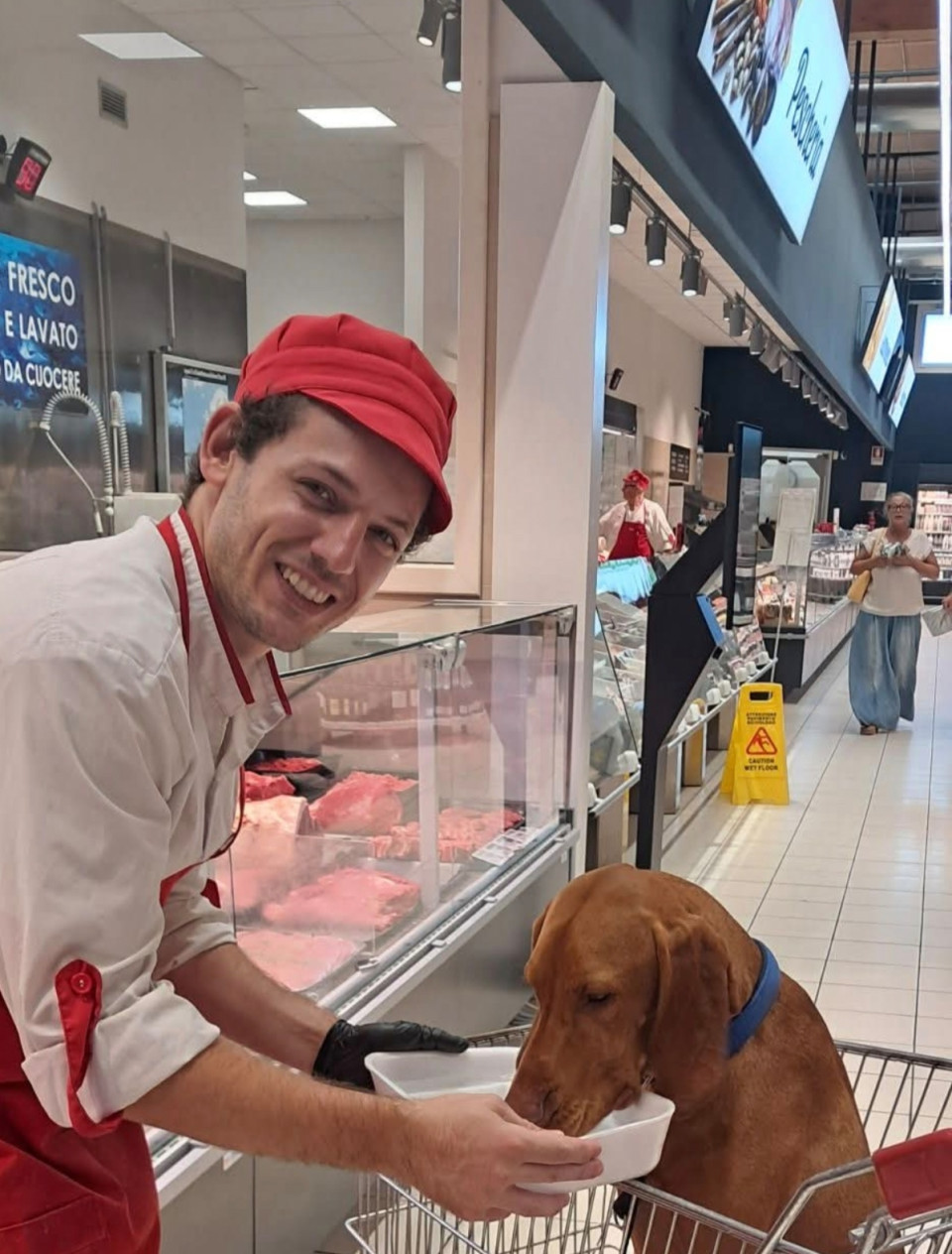 Ezek az olaszok! Kijön a hentes a pultból a boltban és ad neki vizet, mert látja, hogy liheg. A bejáratnál pedig adtak kartont az uraság segge alá, hogy ne törje a rács. Az eszem megáll, micsoda barátságos népség. Nálunk az ÁNTSZ kitérne a hitéből, ha ezt  látná.