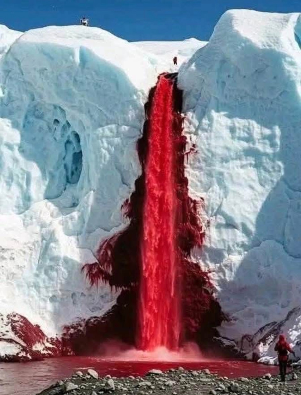 Az antarktiszi véresés a Taylor-gleccser Blood Falls elnevezésű, azonosítatlan jelenségét jelenti, melyet 1911-ben fedeztek fel. Ezt a vérvörös vizet a vas-hidroxid okozza, amely egy több millió éves, jégbe zárt sós tóból áramlik fel, benne több millió éves baktériumokkal. A magas sótartalom segít a víz szilárd halmazállapotban maradni a mínusz 7 fokos hőmérséklet ellenére, és lehetővé teszi a baktériumok túlélését is.                 A jelenséget Thomas Griffith Taylor brit sarkkutató és csapata fedezte fel 1911-ben.Korábban azt hitték, hogy a vöröses vizet vörösmoszatok okozzák, de később bebizonyosodott, hogy ez nem így van.        A víz vörös színét a benne lévő vas-hidroxid okozza.A vérvörös víz egy körülbelül 1,5-4 millió éve jégbe zárt sós tóból származik.A magas sótartalom miatt a víz nem fagy meg mínusz 7 fokon sem, ezáltal folyékony marad.           Forrás:Google
