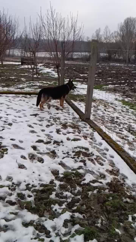 Winter welcome