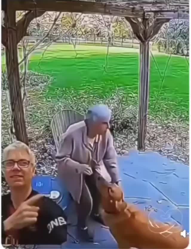 Hihetetlen, fantasztikus🐕‍🦺❤️ 