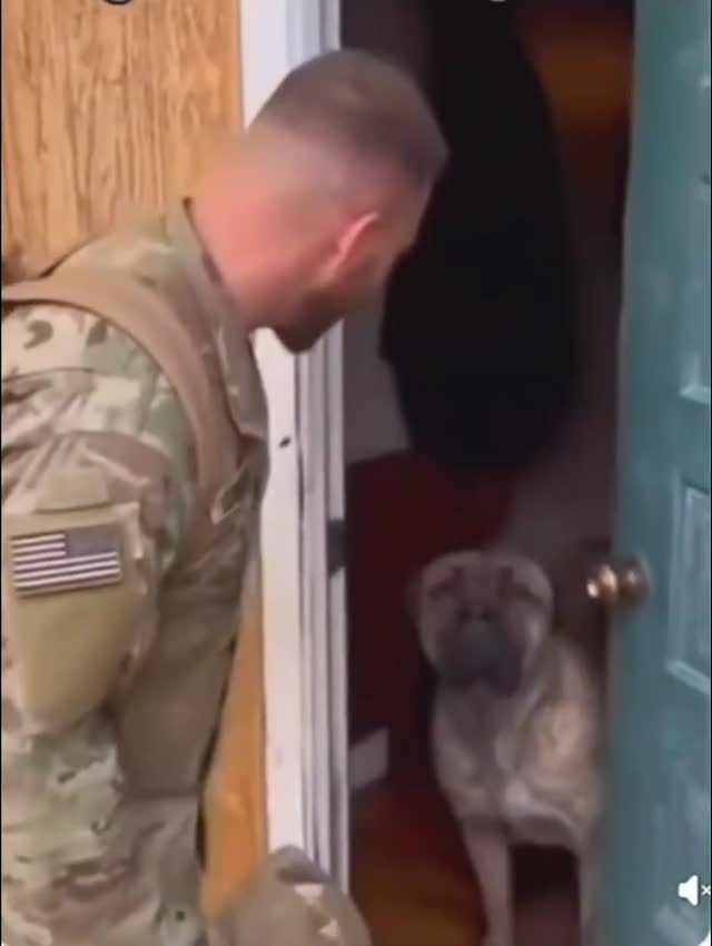 Őszinte szeretet🐕‍🦺 