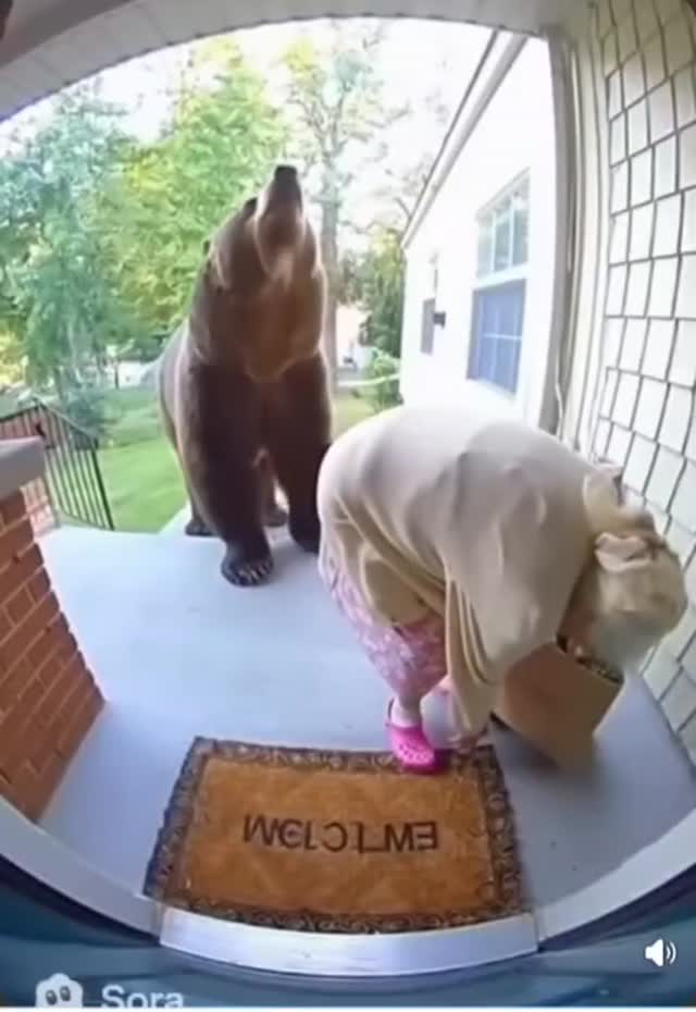 Így kell kinyírni egy grizly-t.