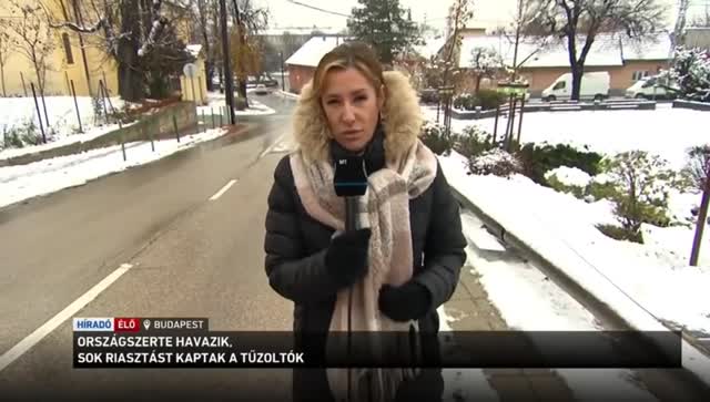 Meggyőzött a hölgy 😂