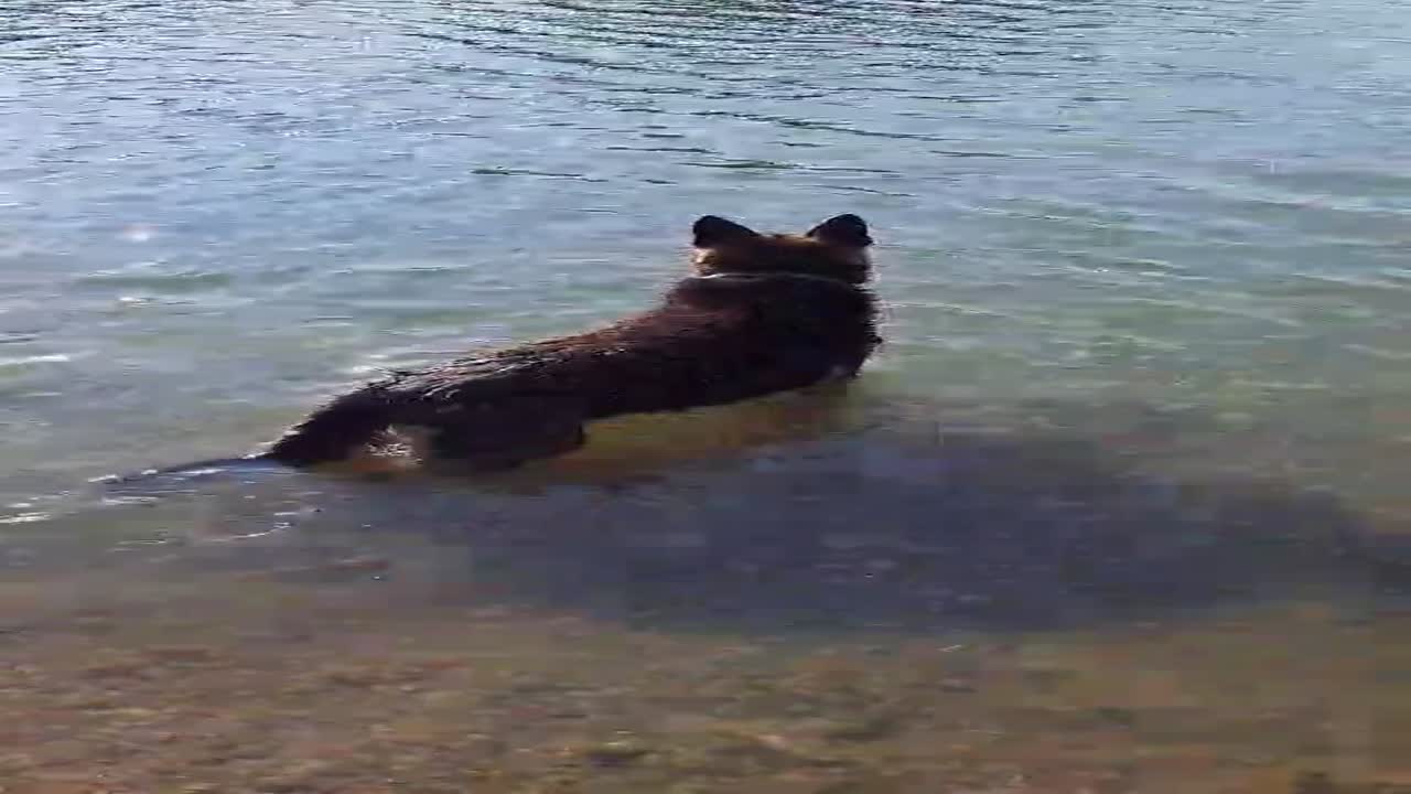 Zsupsz!
