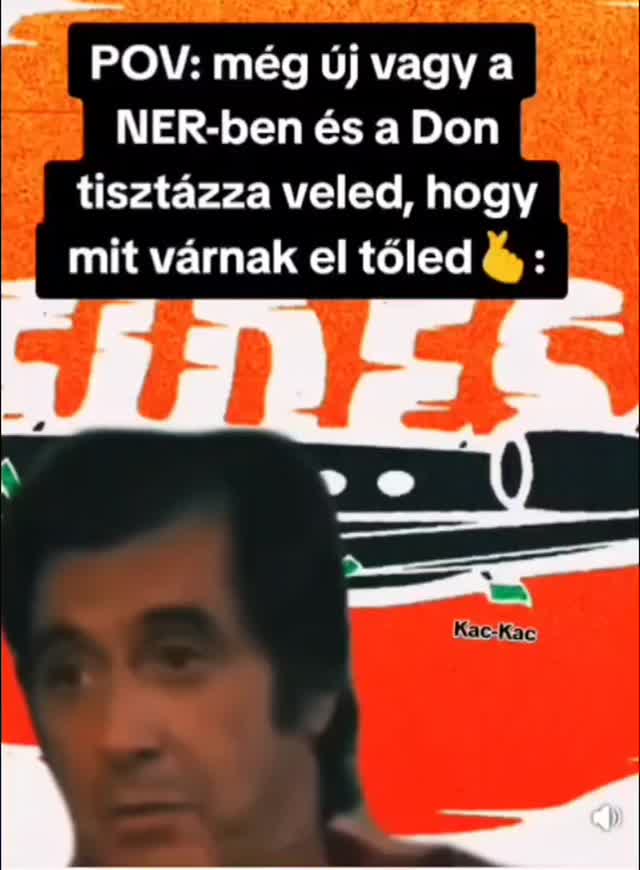 Micsoda bőlcsesség 