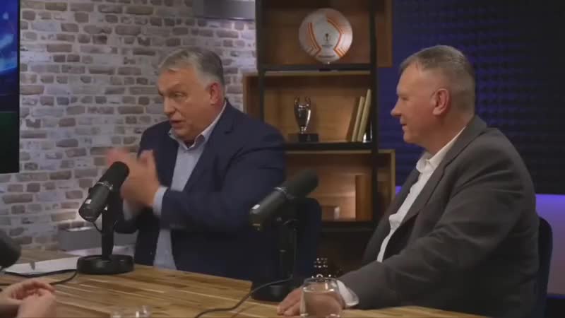 Döbrögi szakértő úr 😂