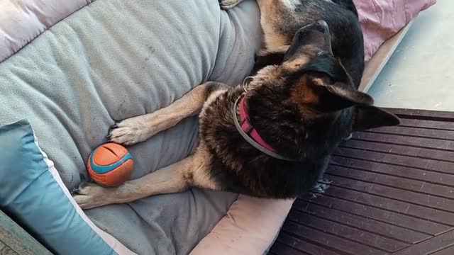 Áki szükség esetén természetesen azonnal intézkedik.