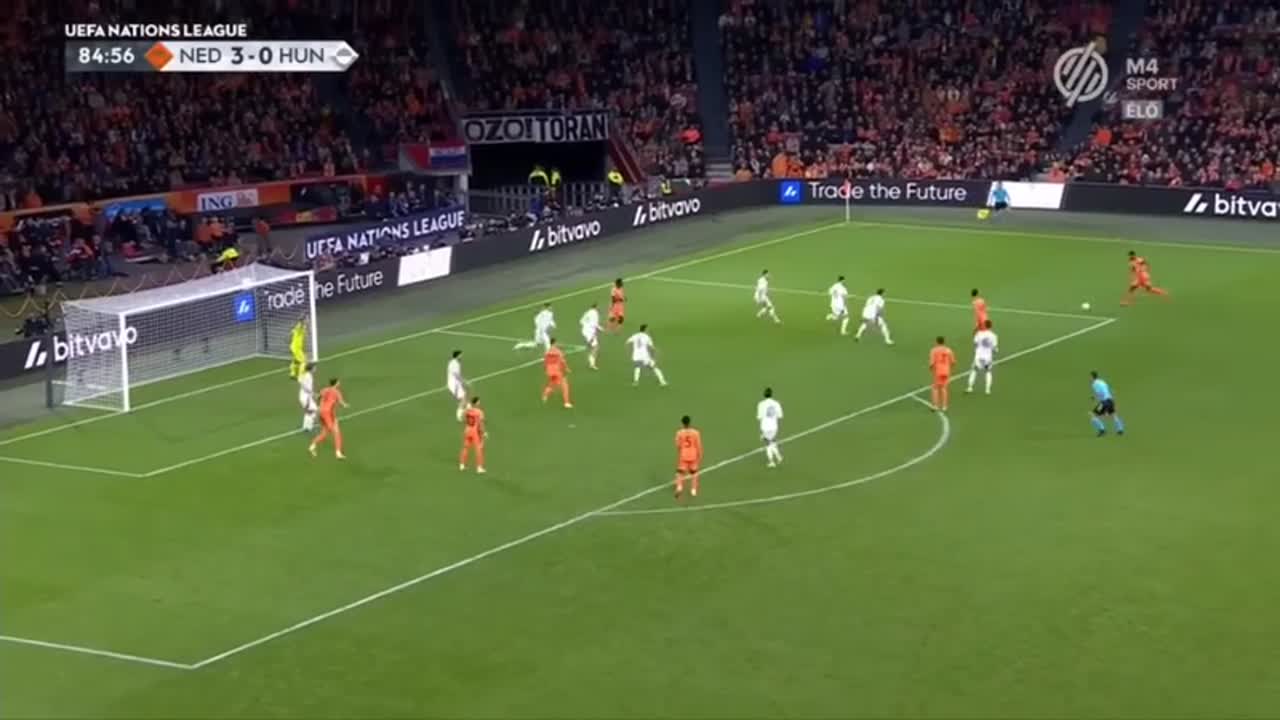 Döbrögi szakértő úr 😂