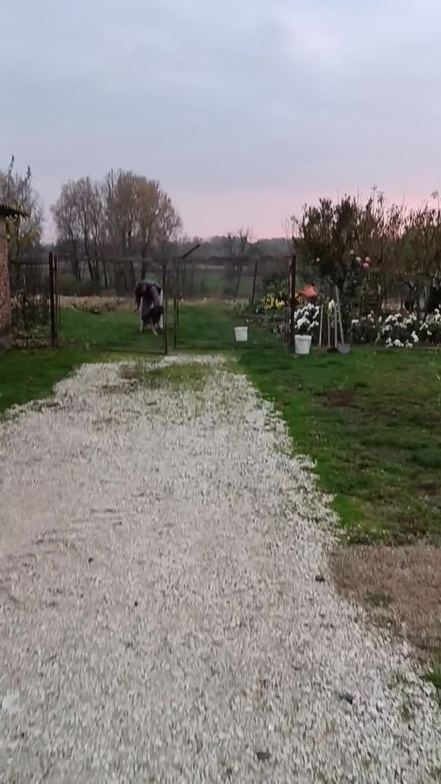 A gazdi dolgozik, köszönök neki gyorsan 🐕‍🦺