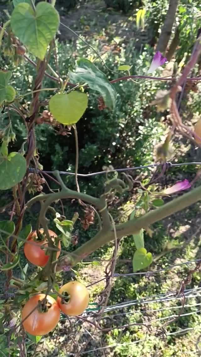 Ilyen szép időben a fagy után is jó kicsit körülnézni kint.